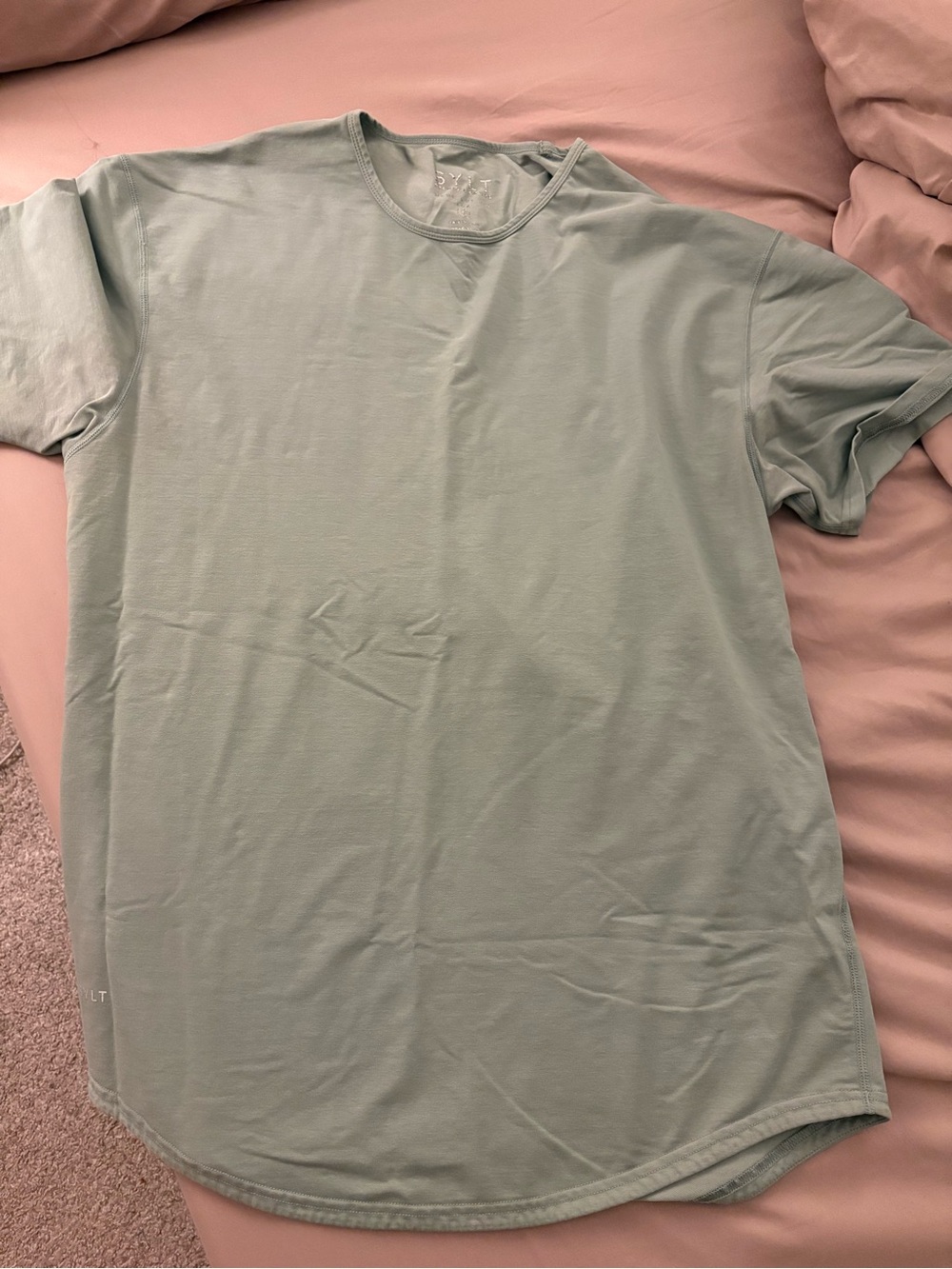 BYLT Basics Short Sleeve Crewneck Tee in Sage Green